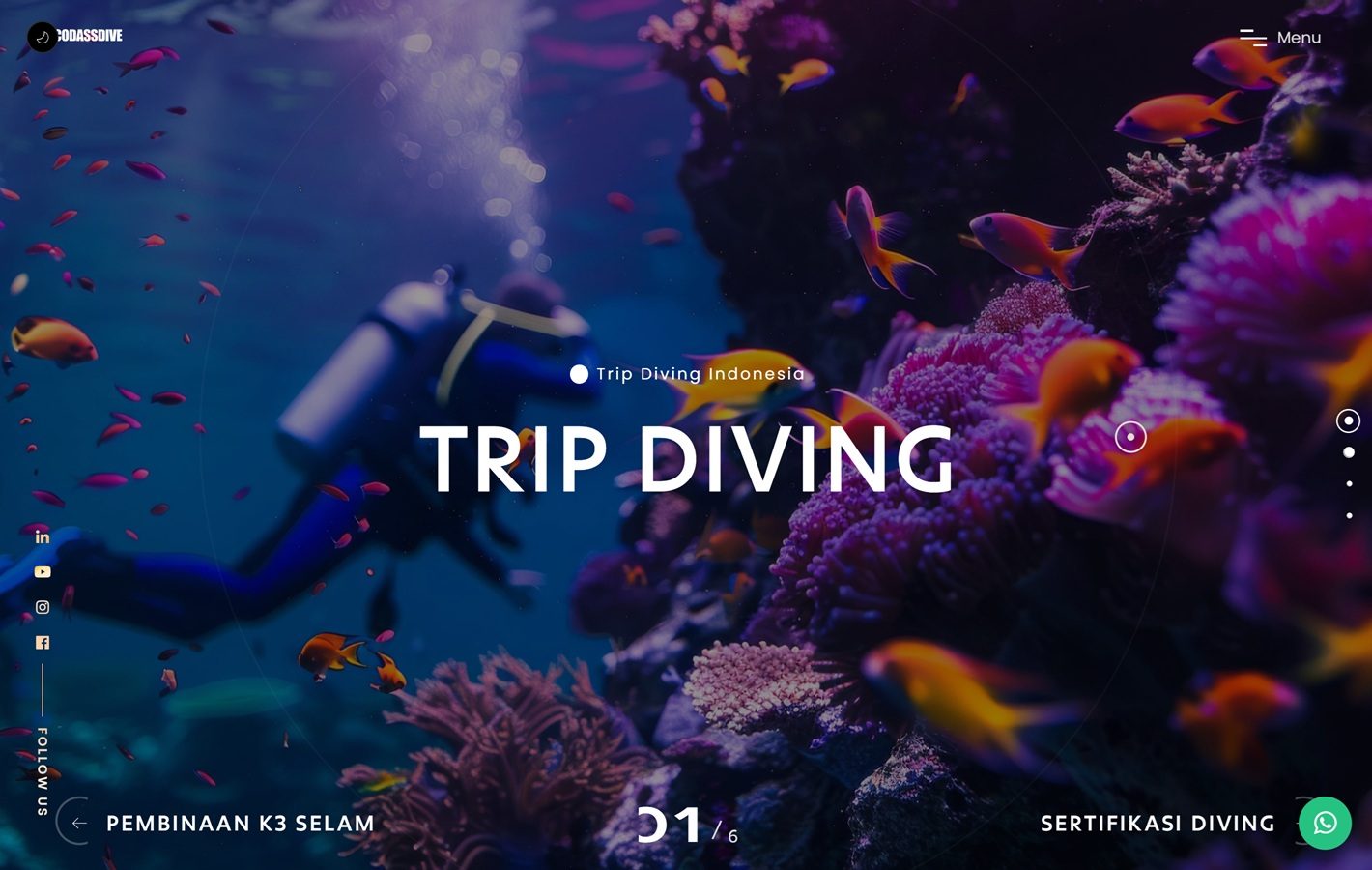 Codass Dive website screenshot — homepage