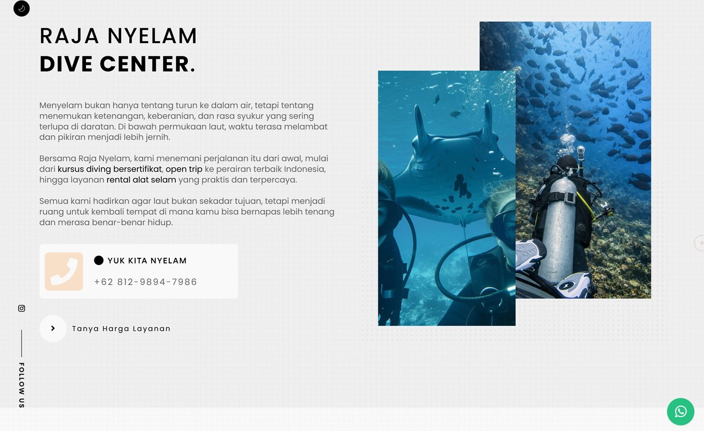 Raja Nyelam website screenshot — diving services