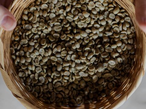 JASA Roasting Kopi (Maklon / Contract Roasting)  Bisa Custom Profile & Siap Packaging